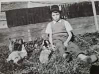 ein Bild aus dem Album